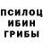 Галлюциногенные грибы Cubensis JENER HOP