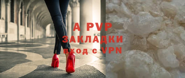 сатива Аркадак