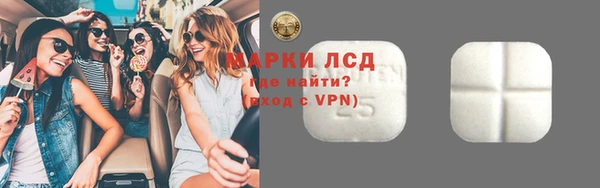 сатива Аркадак