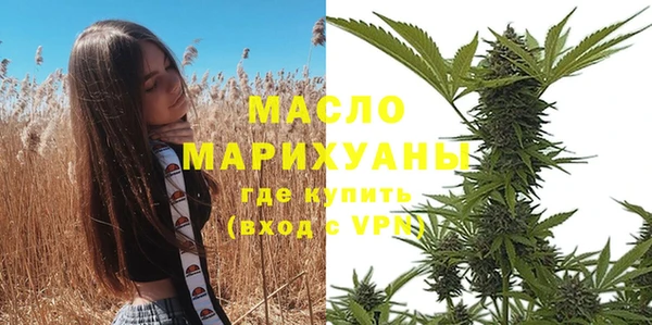 сатива Аркадак