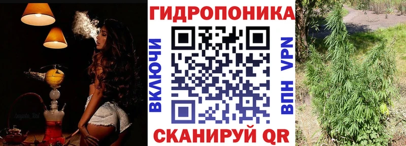 Конопля OG Kush Усинск